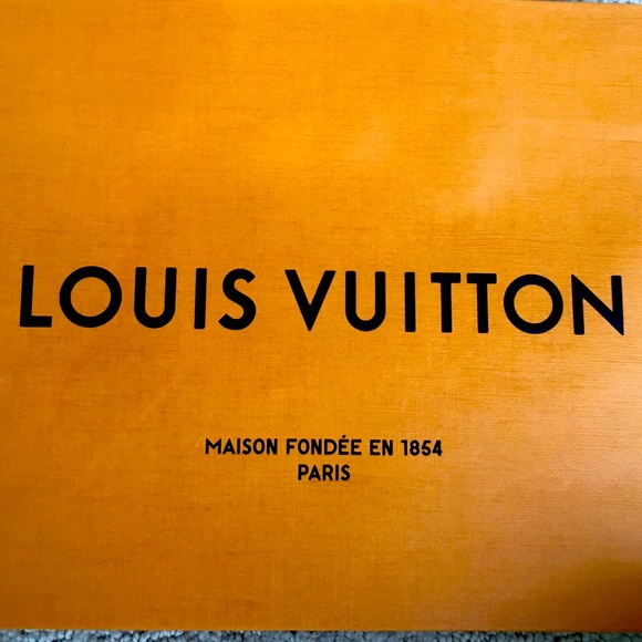 💥LOUIS VUITTON💥 Gift Bag/Paper bag 8-1/4” x 10” x 6” - Picture 2 of 12